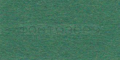 Бумага цветная "VISTA-ARTISTA" 120 гм2  21 х 29.7 см, 58 темно-зеленый (fir green)