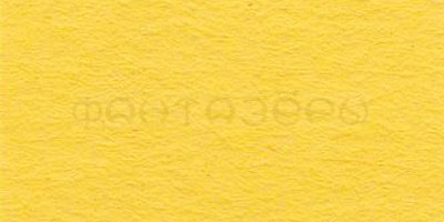Бумага цветная "VISTA-ARTISTA" 120 гм2  21 х 29.7 см, 15 желтый (golden yellow)