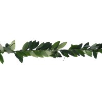 Тесьма пластик, металл "Зелёные листья" ширина 2 см намотка 2 метра