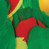 Перья декоративные 3 гр ± 0,5 гр 5-6 см #19 красный/желтый/зеленый