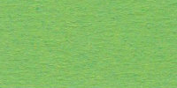 Бумага цветная "VISTA-ARTISTA" 120 гм2  21 х 29.7 см, 55 зеленый травяной (grass green)