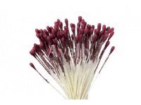 Тычинки для цветов "Свекольные" (средние), Китай, 288 шт