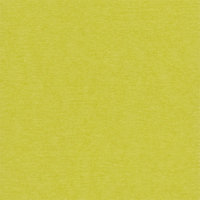 Кардсток для скрапбукинга 216 гкв.м  30.5 x 30.5 см #45 Зеленый чай (желто-зеленый)