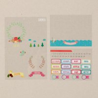 Набор ацетатных карточек «Календарь», 10 х 17,5 см