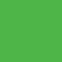 Картон цветной 300 гр. A4, зеленый травяной